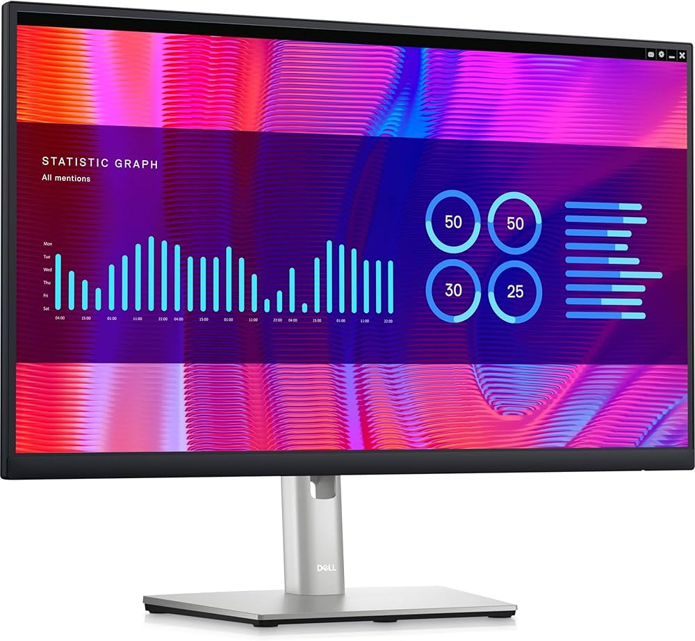 Dell Monitor P2423DE